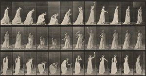 Prancha número 306. Apanhar uma bola e atirá-la de Eadweard Muybridge