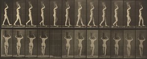 Placa número 34. Caminhando e carregando uma cesta de 15 lb. na cabeça, com as mãos levantadas,1887 (foto) de Eadweard Muybridge