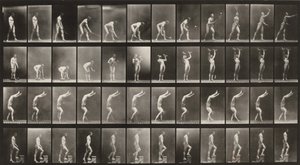 Prancha número 488. A: Ténis em relva. B: Halteres. C: Caminhar sobre as mãos. D: Subir escadas de Eadweard Muybridge