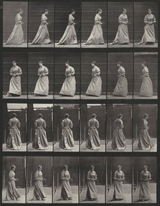 Prancha número 48. Caminhar e virar-se com um ramo nas duas mãos de Eadweard Muybridge