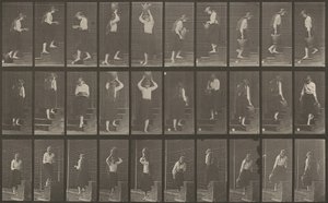Placa número 504. Subindo e descendo escadas de Eadweard Muybridge