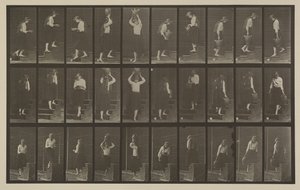 Placa número 504. Escadas ascendentes e descendentes de Eadweard Muybridge