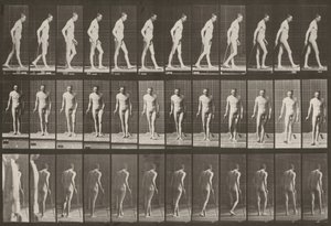 Prancha número 559. Paraplegia parcial, caminhar com bengala de Eadweard Muybridge