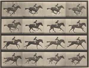 Prancha número 626. Galope, égua baia de raça pura, Annie G. de Eadweard Muybridge