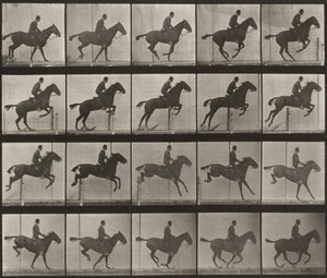 Prancha número 639. «Daisy» a saltar um obstáculo, selada de Eadweard Muybridge