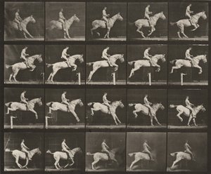 Prancha número 642. "Pandora" a saltar um obstáculo, selada; cavaleiro nu de Eadweard Muybridge