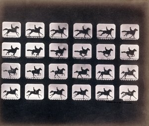Running (Galloping) por Eadweard J. Muybridge de Eadweard Muybridge