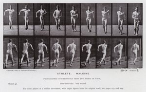 A Figura Humana em Movimento: Atleta, Caminhando (foto a p/b) de Eadweard Muybridge