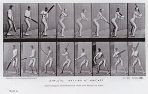 A Figura Humana em Movimento: Atleta, batendo no cricket (foto a p/b) de Eadweard Muybridge