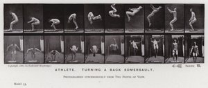 A Figura Humana em Movimento: Atleta, virando um somersault de costas (foto a p/b) de Eadweard Muybridge