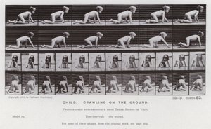 A Figura Humana em Movimento: Criança, rastejando no chão de Eadweard Muybridge