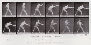 A Figura Humana em Movimento: Pugilista, golpeando um golpe (foto a p/b) de Eadweard Muybridge