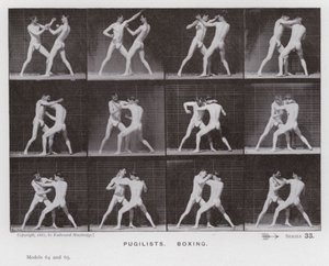 A Figura Humana em Movimento: Pugilistas, Boxe (foto a p/b) de Eadweard Muybridge