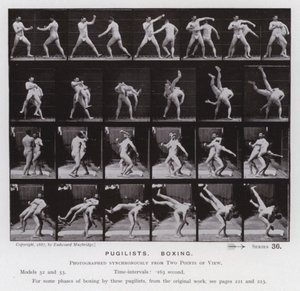A Figura Humana em Movimento: Pugilistas, Boxe (foto a p/b) de Eadweard Muybridge