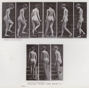 A Figura Humana em Movimento: Fases selecionadas da série 41 (foto a p/b) de Eadweard Muybridge
