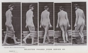 A Figura Humana em Movimento: Fases selecionadas da série 43 (foto a p/b) de Eadweard Muybridge