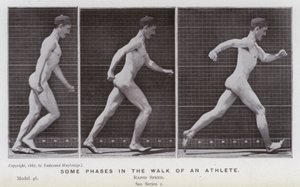 A Figura Humana em Movimento: Algumas fases da caminhada de um atleta (foto a p/b) de Eadweard Muybridge