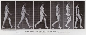 A Figura Humana em Movimento: Algumas fases da caminhada de um atleta (foto a p/b) de Eadweard Muybridge