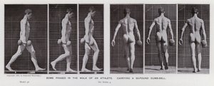 A Figura Humana em Movimento: Algumas fases da caminhada de um atleta, carregando um sino mudo de 50 libras (foto a p/b) de Eadweard Muybridge
