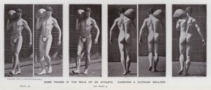 A Figura Humana em Movimento: Algumas fases da caminhada de um atleta, carregando uma rocha de 75 libras (foto a p/b) de Eadweard Muybridge