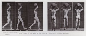 A Figura Humana em Movimento: Algumas fases da caminhada de um atleta, carregando uma rocha de 75 libras (foto a p/b) de Eadweard Muybridge