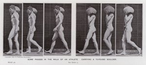 A Figura Humana em Movimento: Algumas fases da caminhada de um atleta, carregando uma rocha de 75 libras (foto a p/b) de Eadweard Muybridge
