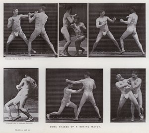 A Figura Humana em Movimento: Algumas fases de um combate de boxe (foto a p/b) de Eadweard Muybridge