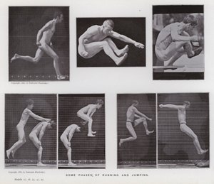 A Figura Humana em Movimento: Algumas fases de correr e saltar (foto a p/b) de Eadweard Muybridge