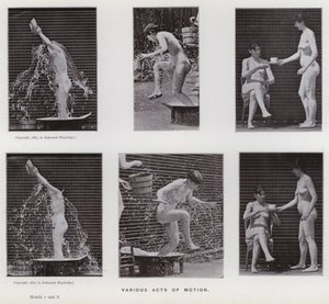 A Figura Humana em Movimento: Vários atos de movimento (foto a p/b) de Eadweard Muybridge