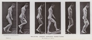 A Figura Humana em Movimento: Caminhando, sob várias condições (foto a p/b) de Eadweard Muybridge