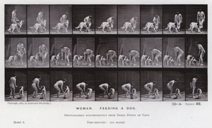 A Figura Humana em Movimento: Mulher, alimentando um cão (foto a p/b) de Eadweard Muybridge