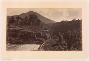 Vulcão Zunil, Guatemala de Eadweard Muybridge