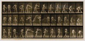 Mulher a esvaziar uma bacia de água, do livro Animal Locomotion de Eadweard Muybridge