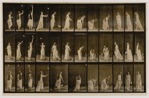 Woman Throwing Handkerchief in Air, Picking It Up, do livro Animal Locomotion de Eadweard Muybridge