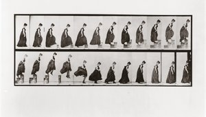 Mulher, escalando, escadas, pular, prato, 173, animal, locomotion, 1887 de Eadweard Muybridge