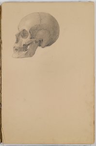 Anatomy Sketch Book, 1849 (caderno de desenho contendo desenhos em grafite)