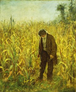Homem em um campo de milho,