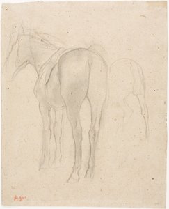 Estudos de um cavalo