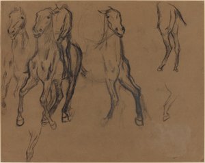 Estudo de Cavalos, c.1886 (carvão e grafite sobre papel pardo) de Edgar Degas