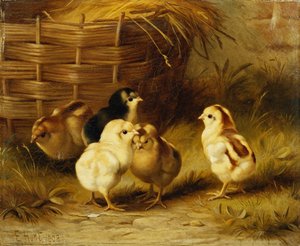 Pintos ao cesto de Edgar Hunt