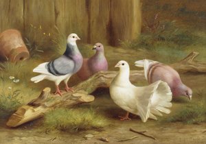 Pombas