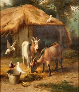 Cabras e pombas numa quinta