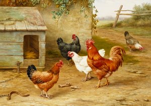 Aves de capoeira por canil de Edgar Hunt