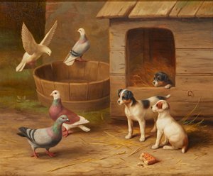 Cachorros e pombos (óleo sobre tela)