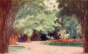 Um Bosque de Bambu, Jardim Botânico (lito colorido)