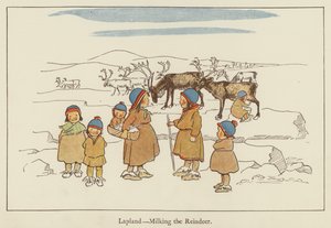 Lapónia, ordenhando a rena