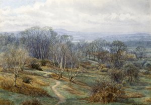 Hampstead Heath, olhando em direção a Harrow on the Hill, cerca de 1880 (wc no papel) de Edith Martineau