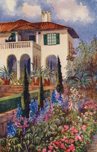 Um canto do Jardim na Villa Arcadia, Joanesburgo (cor litho) de Edith Struben