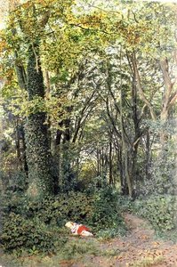 Perdidos na Floresta
