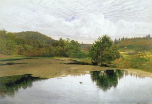 The Pool, 1860 (wc e caneta e tinta no papel)